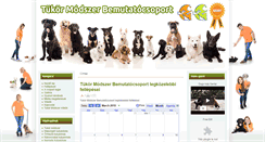 Desktop Screenshot of bemutatocsoport.hu